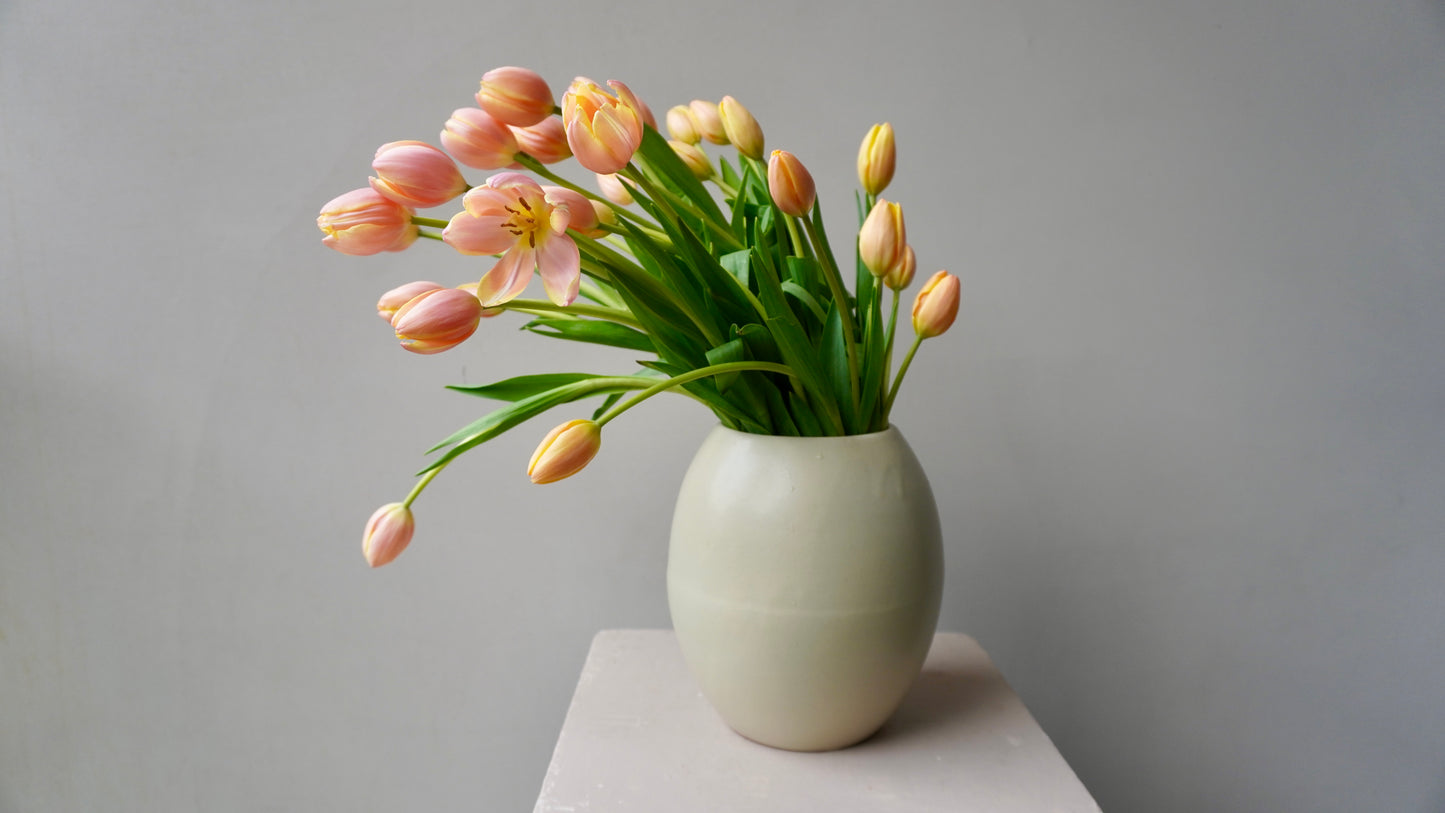 Tulipanes Lau