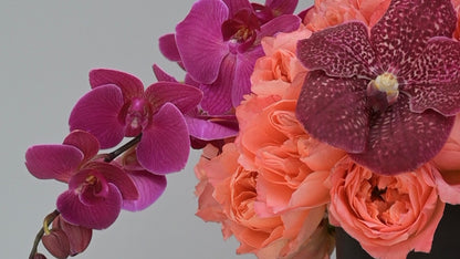 Orquídeas Nea