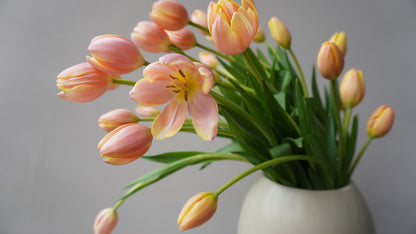 Tulipanes Lau