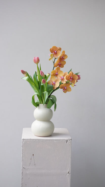 Tulipanes Inés