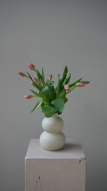 Tulipanes Inés