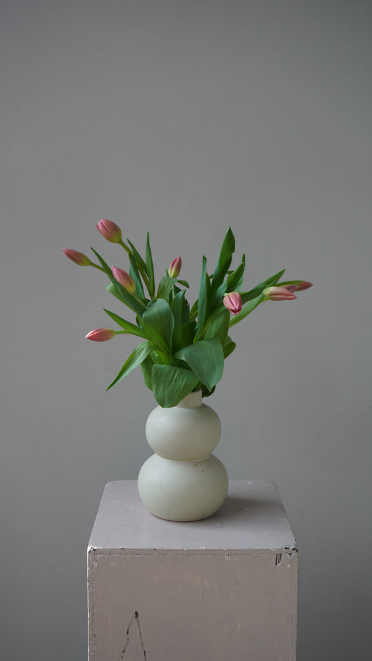 Tulipanes Inés